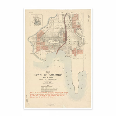 Vintage Map of Gosford, NSW 1887 - Curat'd Walls