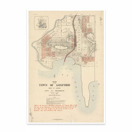 Vintage Map of Gosford, NSW 1887 - Curat'd Walls