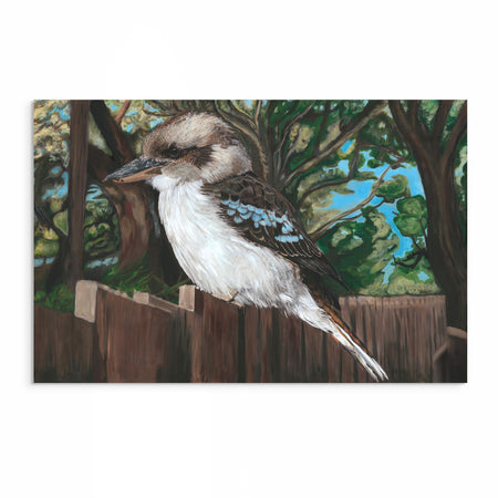 Modern painting of a kookaburra perched on a timber fence with soft-focus Australian bush background – fine art print