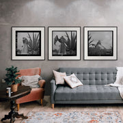 Vintage 1940s black and white portraits of Frida Kahlo, emotional and powerful photo print set for gallery walls and artist-inspired interiors