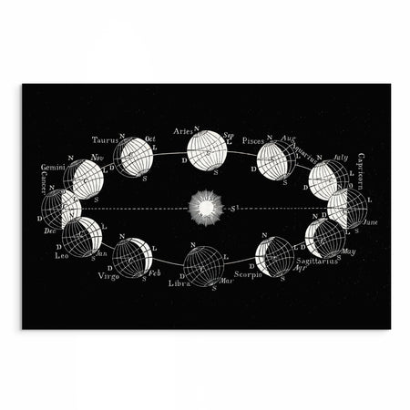 Stars Aligned: Vintage Black and White Zodiac Star Signs and Moon Phase Art Print - Celestial Wall Decor from Curat'd Walls